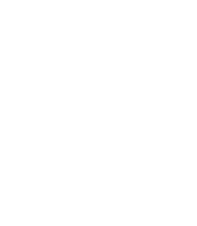 logo light